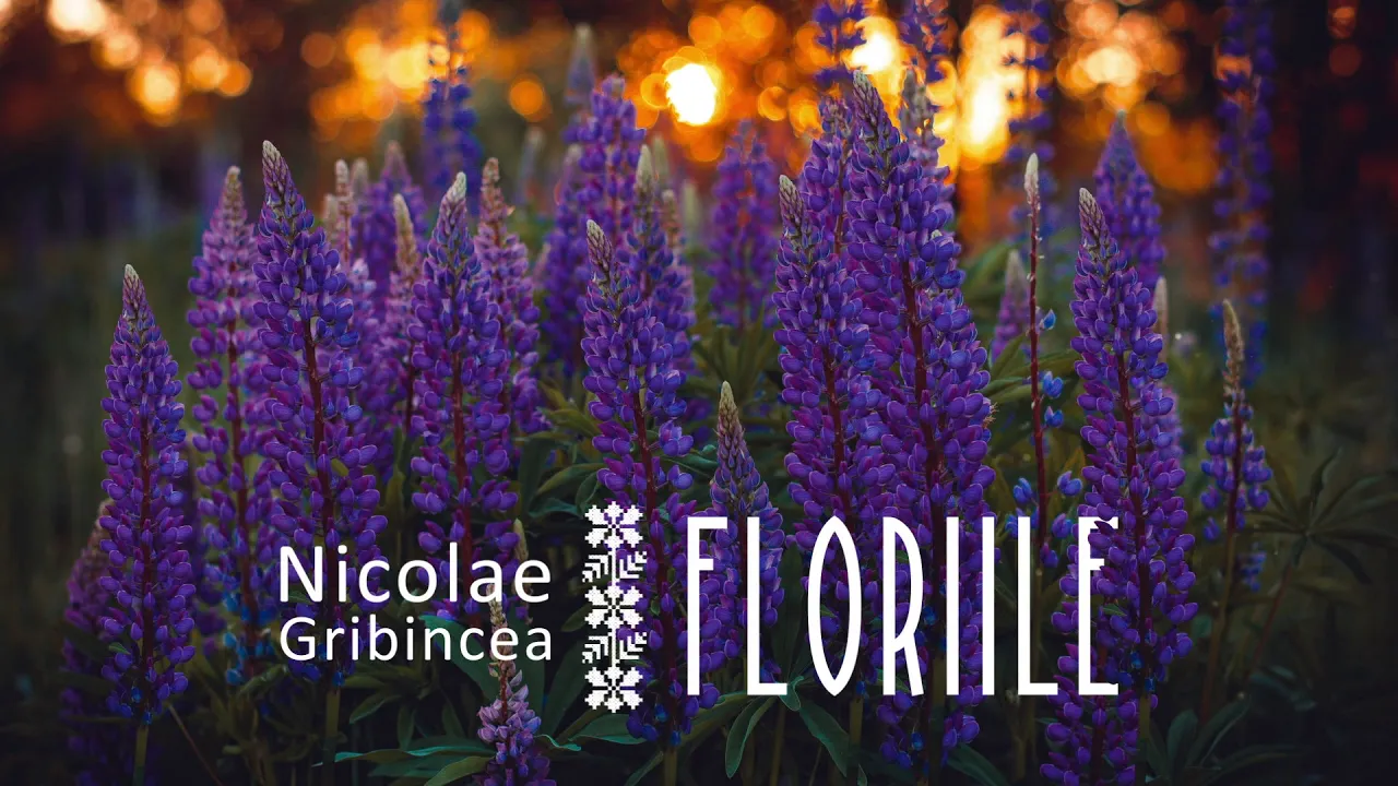 Nicolae Gribincea - Floriile 2020