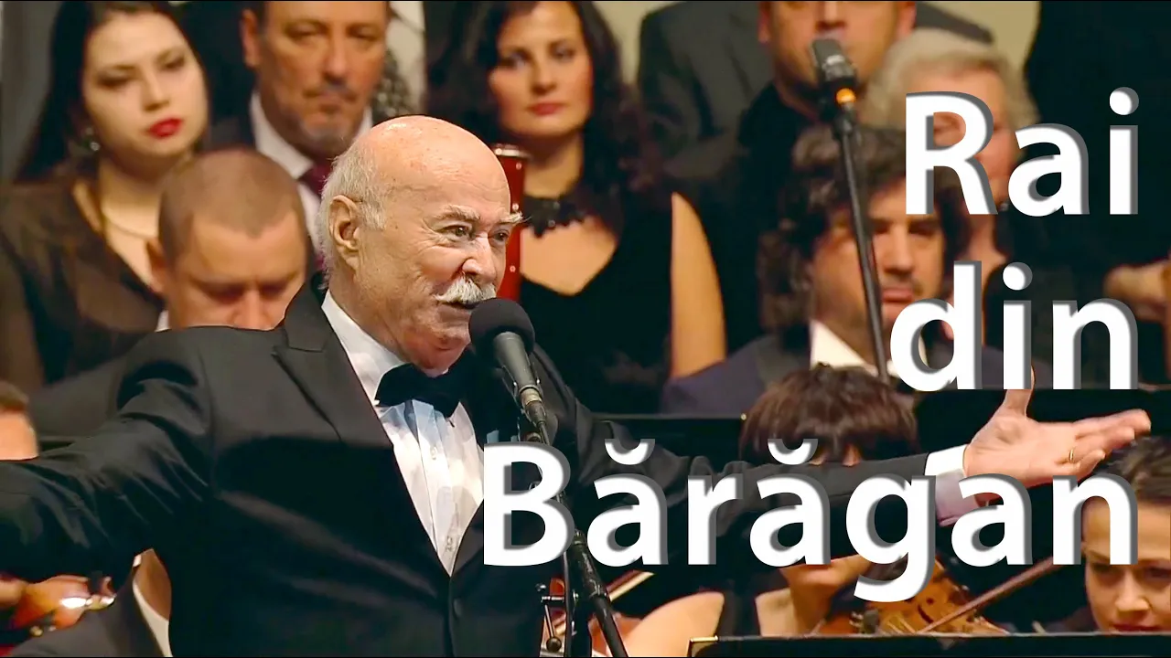 Tudor Gheorghe - Rai din Baragan! (Original Radio Edit)