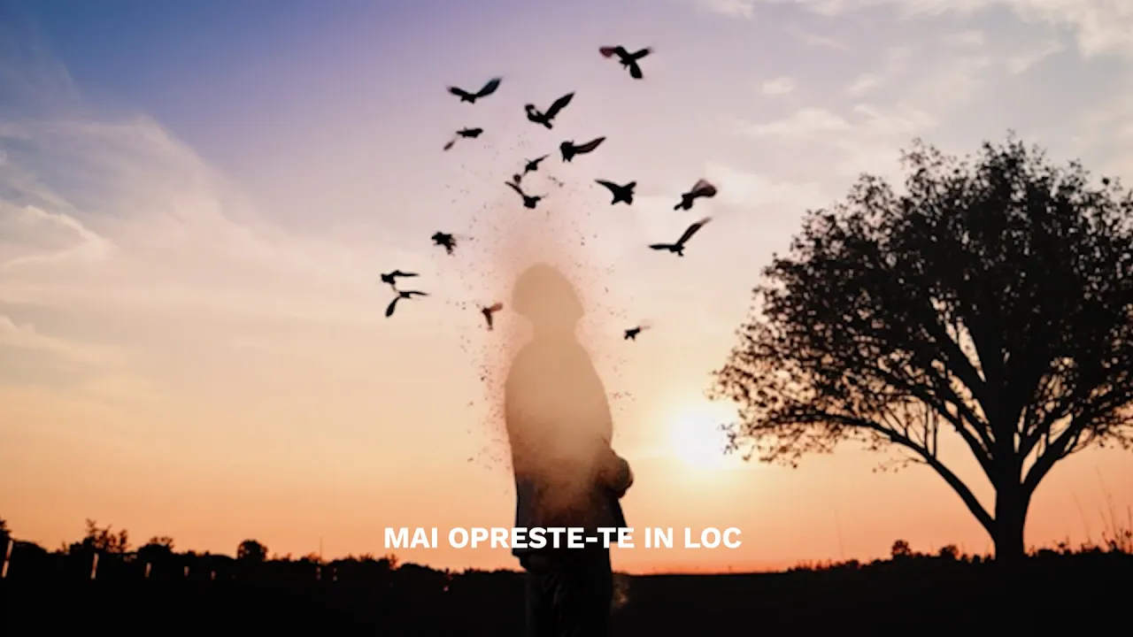 NIKOLAS - MAI OPRESTE-TE IN LOC