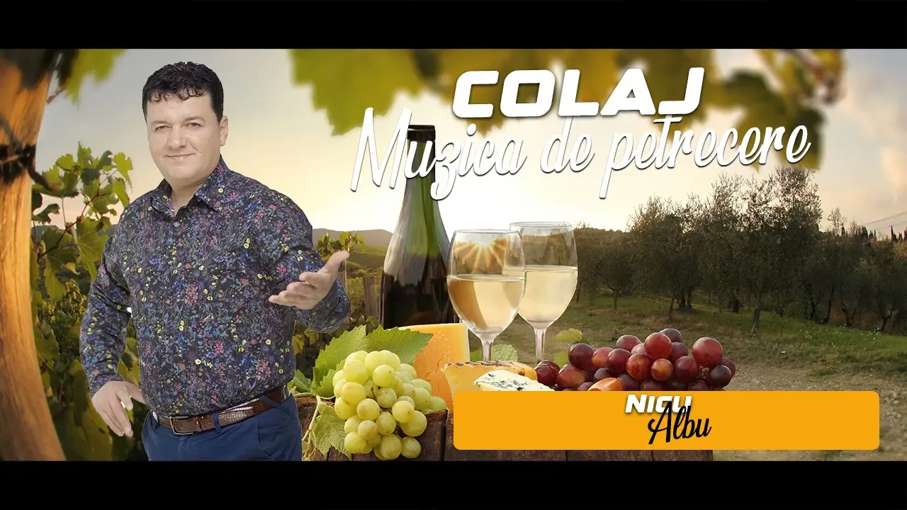 Top muzica de petrecere 2024 NICU ALBU