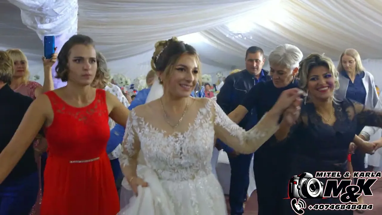 FORMATIA PETRICA NICOARA DANTURI DIN BANAT LA SEVERIN