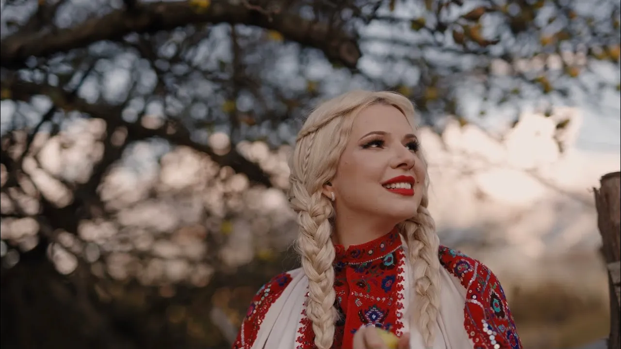 Sandra N - Floare de cires (Video Original)