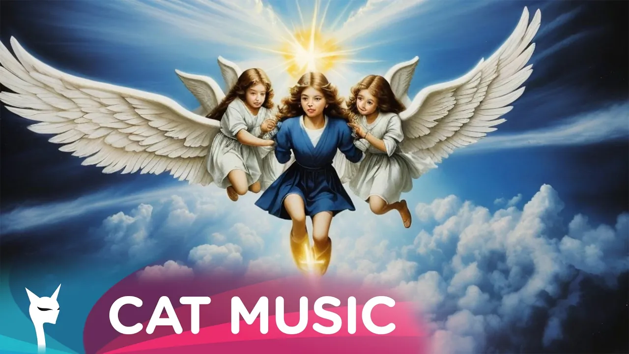 SASU - Losing Battle