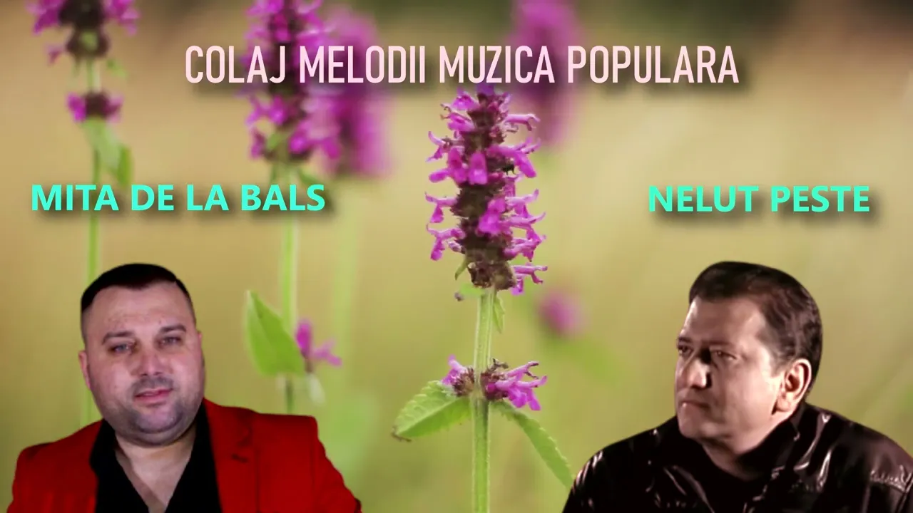 Nelut Peste si Mita de la Bals - Colaj muzica populara si de petrecere (Remake 2023)