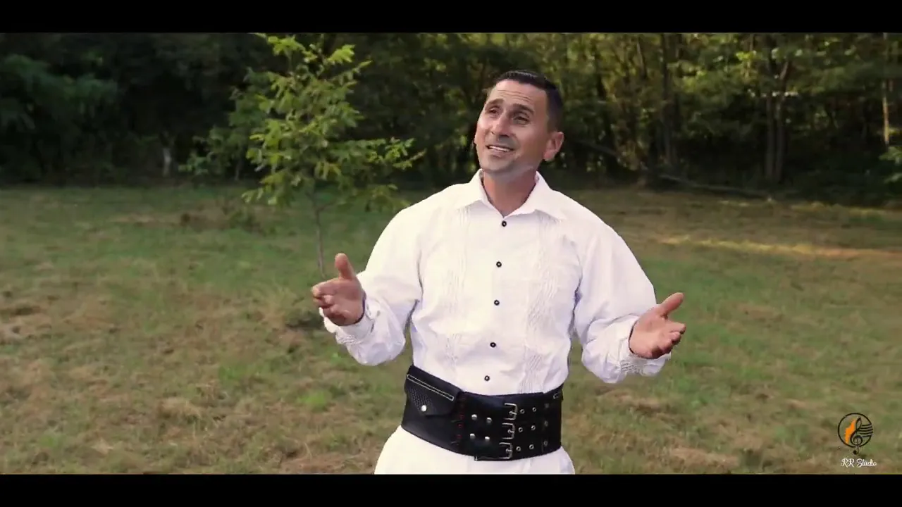 Dinu Nistor - Ma uit in ograda vietii