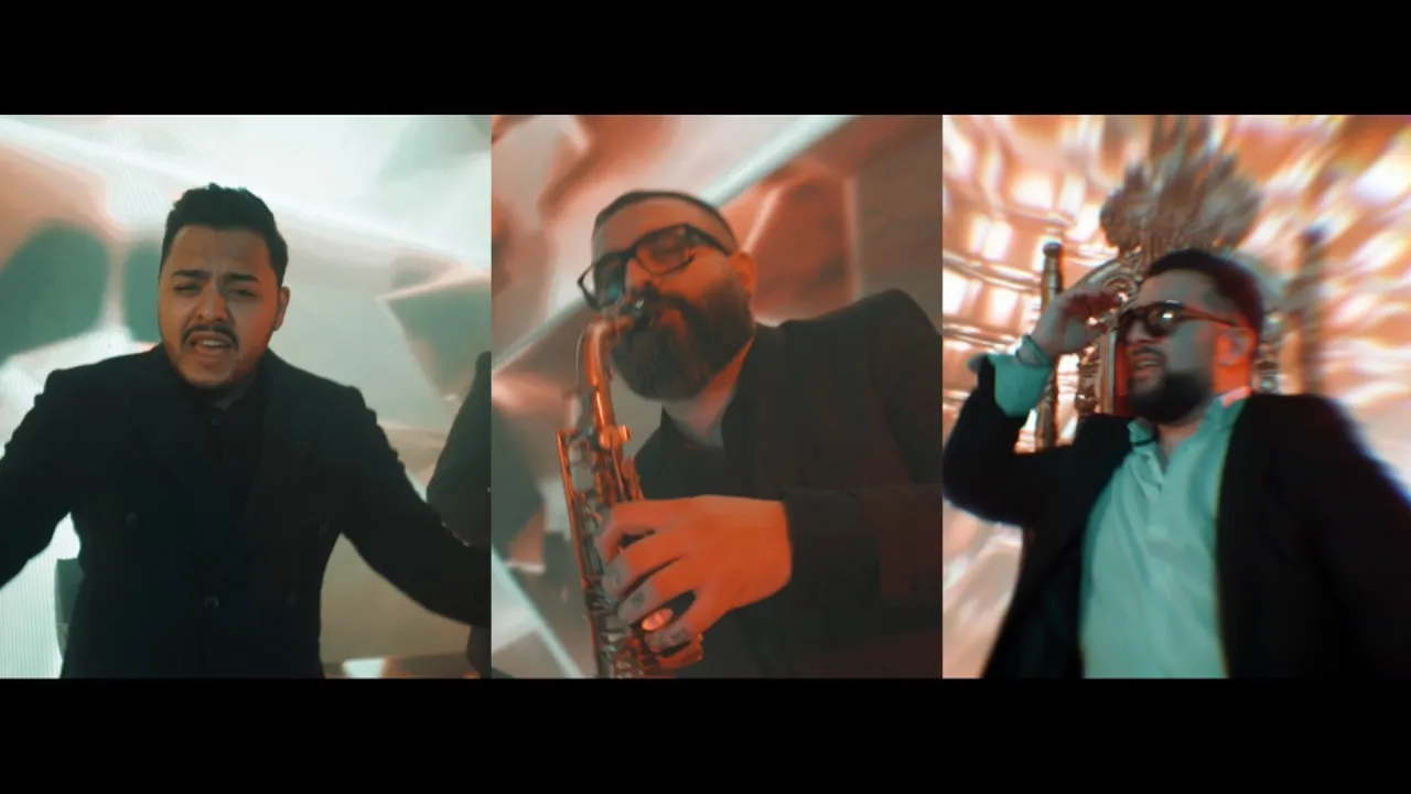 HAIDIN x Tzanca Uraganu x Marinica Namol - Buna seara Basosane (Originala 2021)