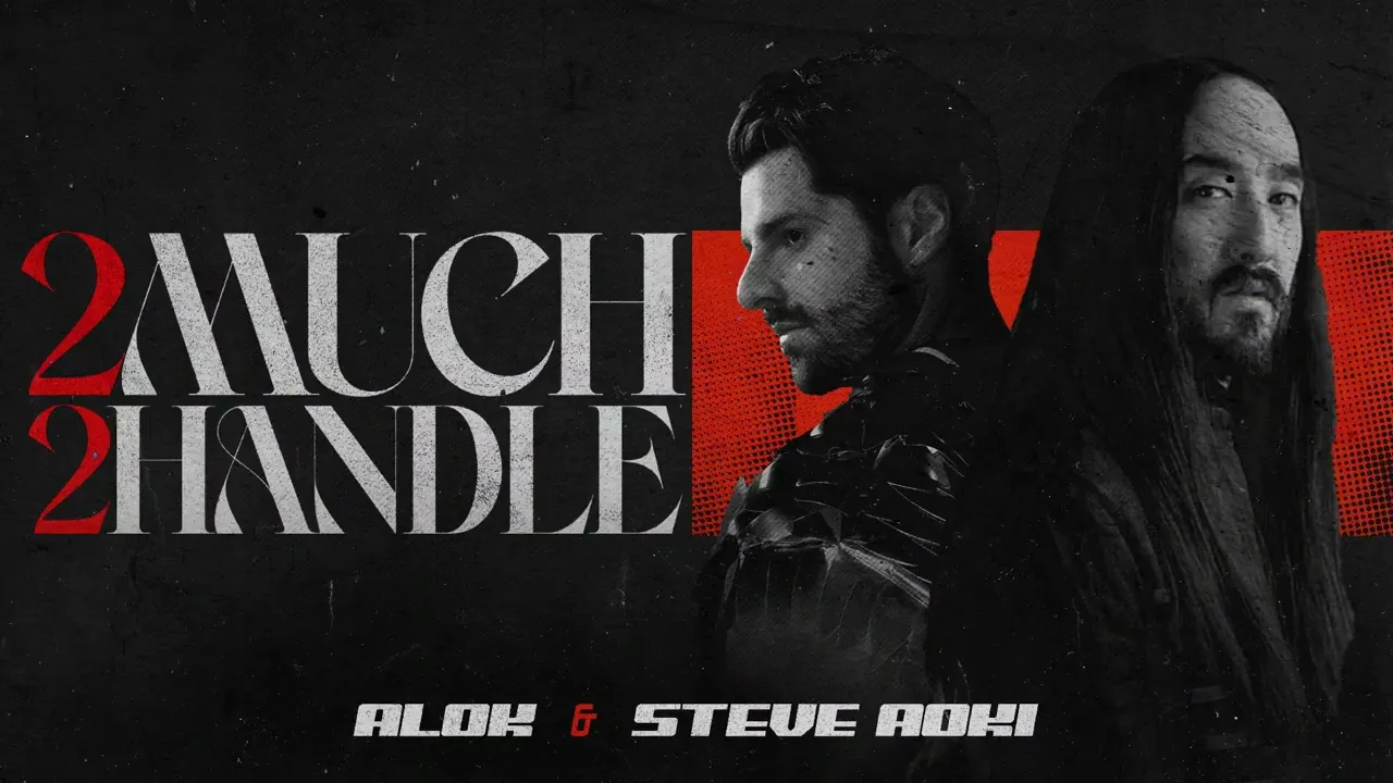 Alok & Steve Aoki - 2 Much 2 Handle