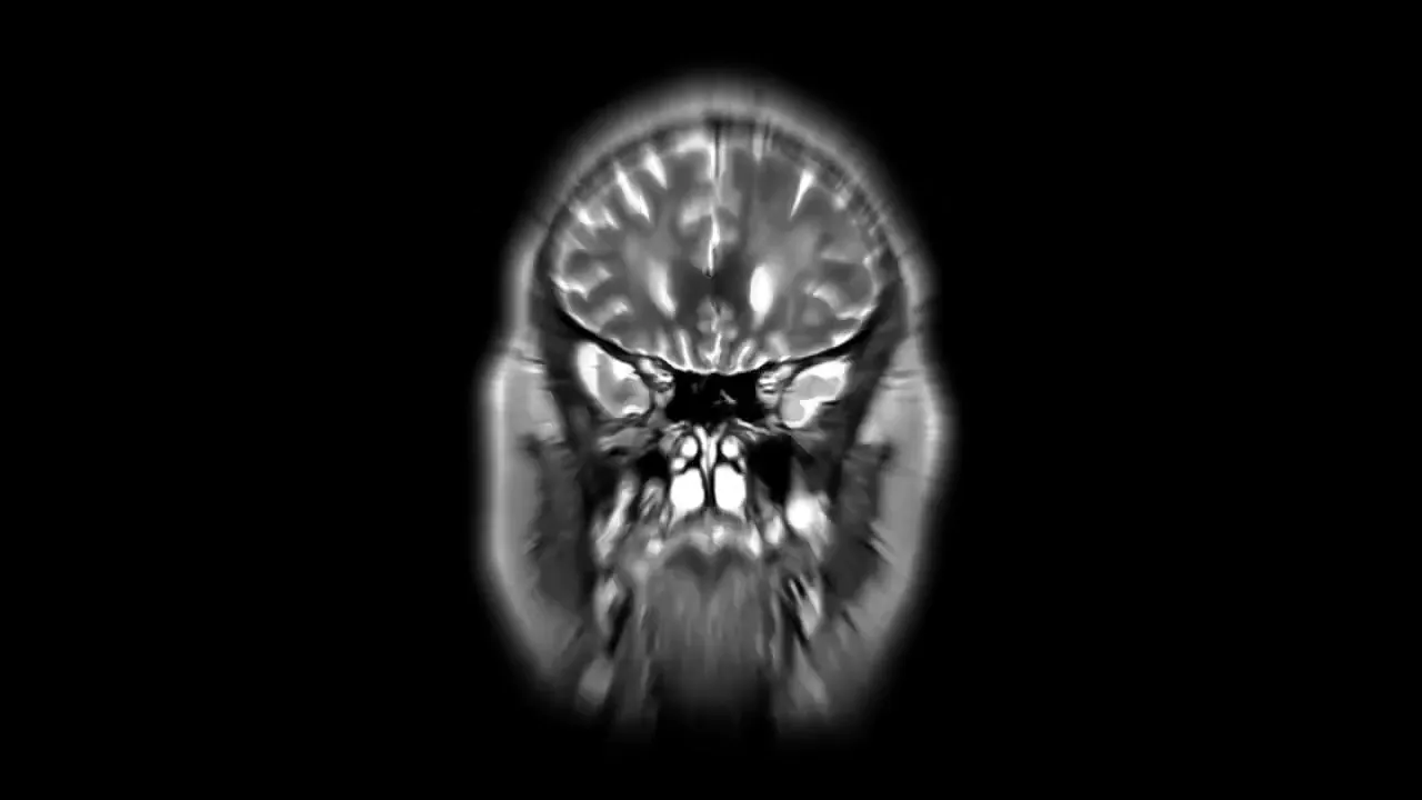 BRUJA - HAPCIU (Original Radio Edit)