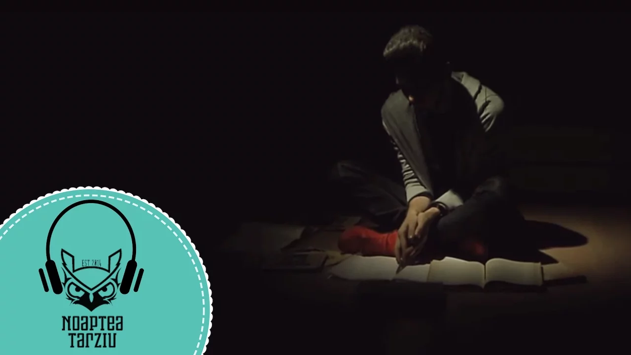 PROFU' CE MAI ZICI - Noaptea Tarziu (Cover Ruby ft Dorian Popa - Buna ce mai zici)