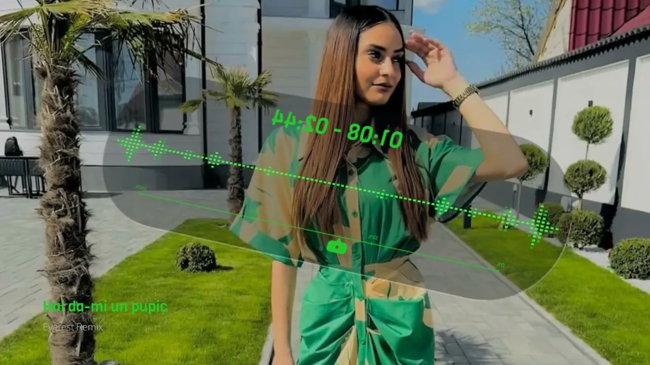 Denisa Turcanu x Costel Biju - Hai da-mi un pupic (Everest Remix)