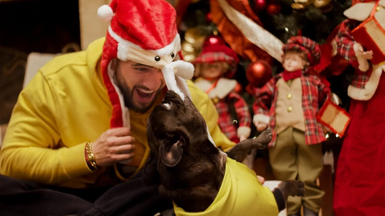 CHELUTU feat. Dorian Popa - Chelutu cu Bradutu (Original Radio Edit)