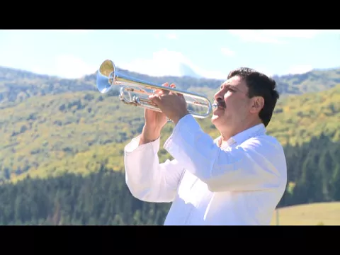 Adam Stanga - Sarba lui Toader