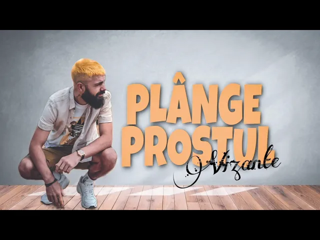 Vizante - Plange Prostul (Original Radio Edit)