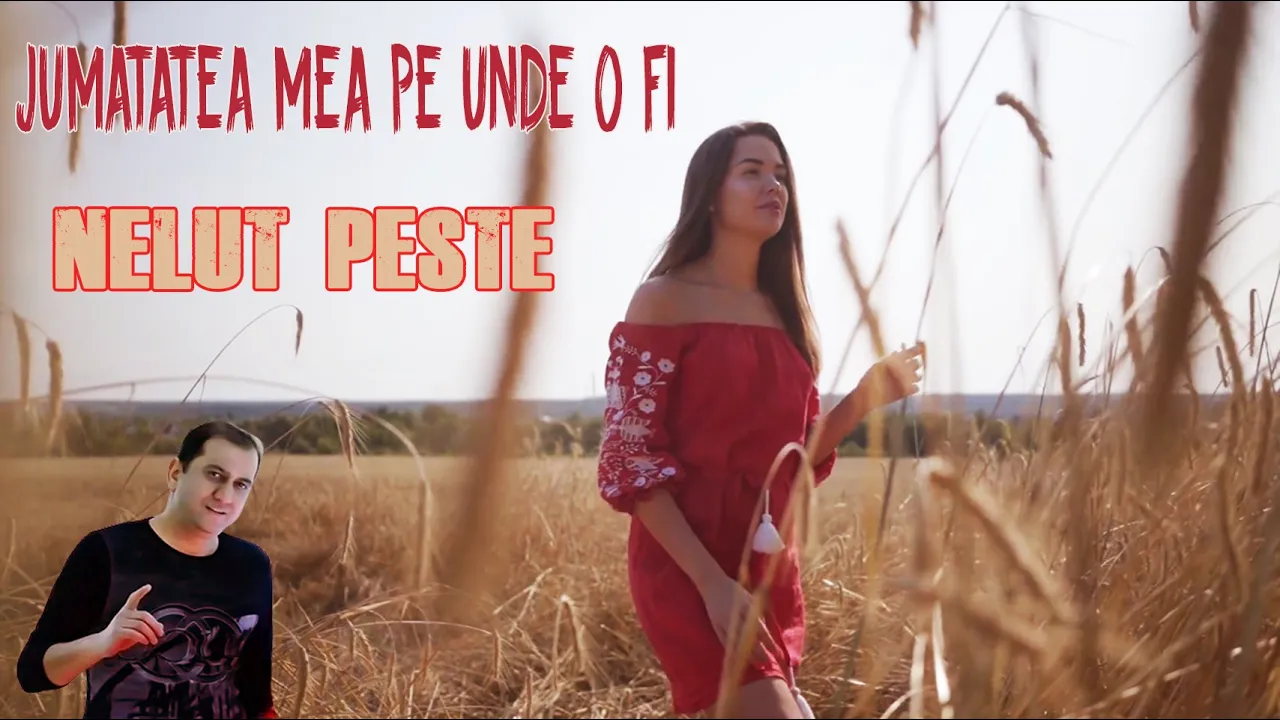 NELUT PESTE - JUMATATEA MEA PE UNDE-O FI (Originala 2019)
