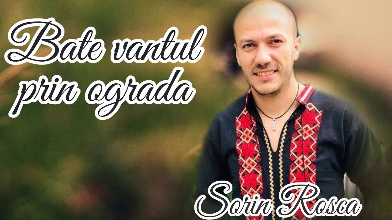 Sorin Rosca - Bate vantul in ograda 2020