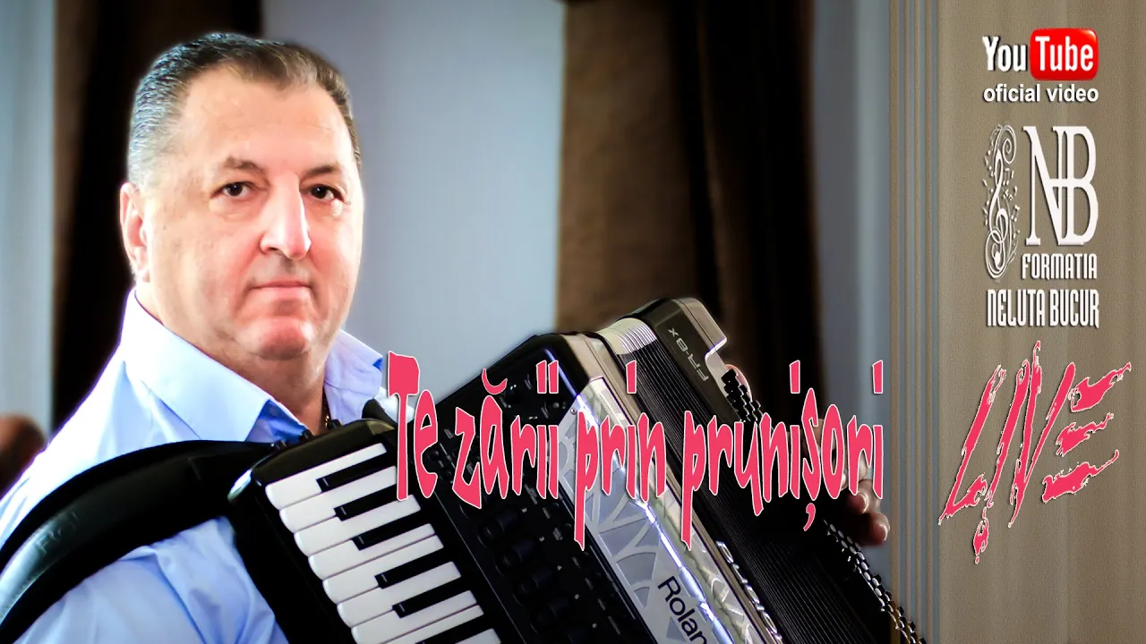 NELUTA BUCUR - Te zarii prin prunisori live