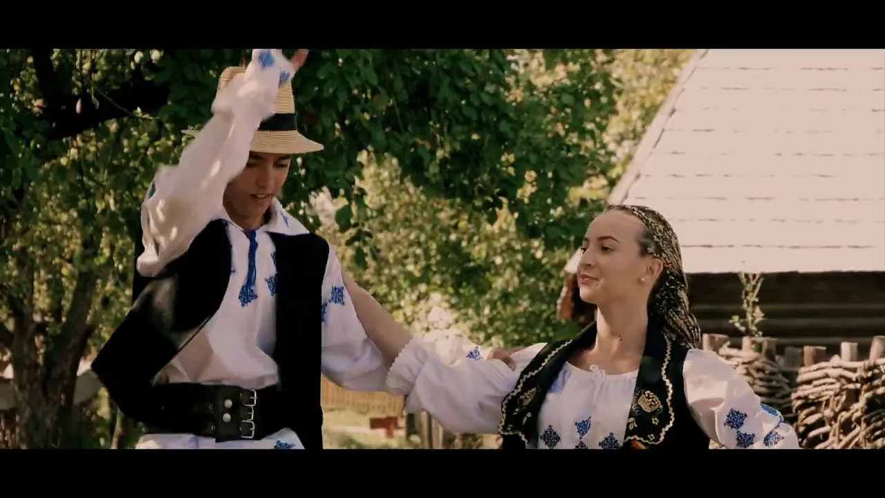 Liviu Guta - Anii pier cu piere valul 2020