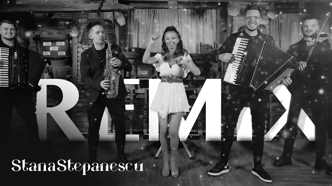 Stana Stepanescu - O cheama Ileana (Victor Stan & Dj Andaro REMIX)