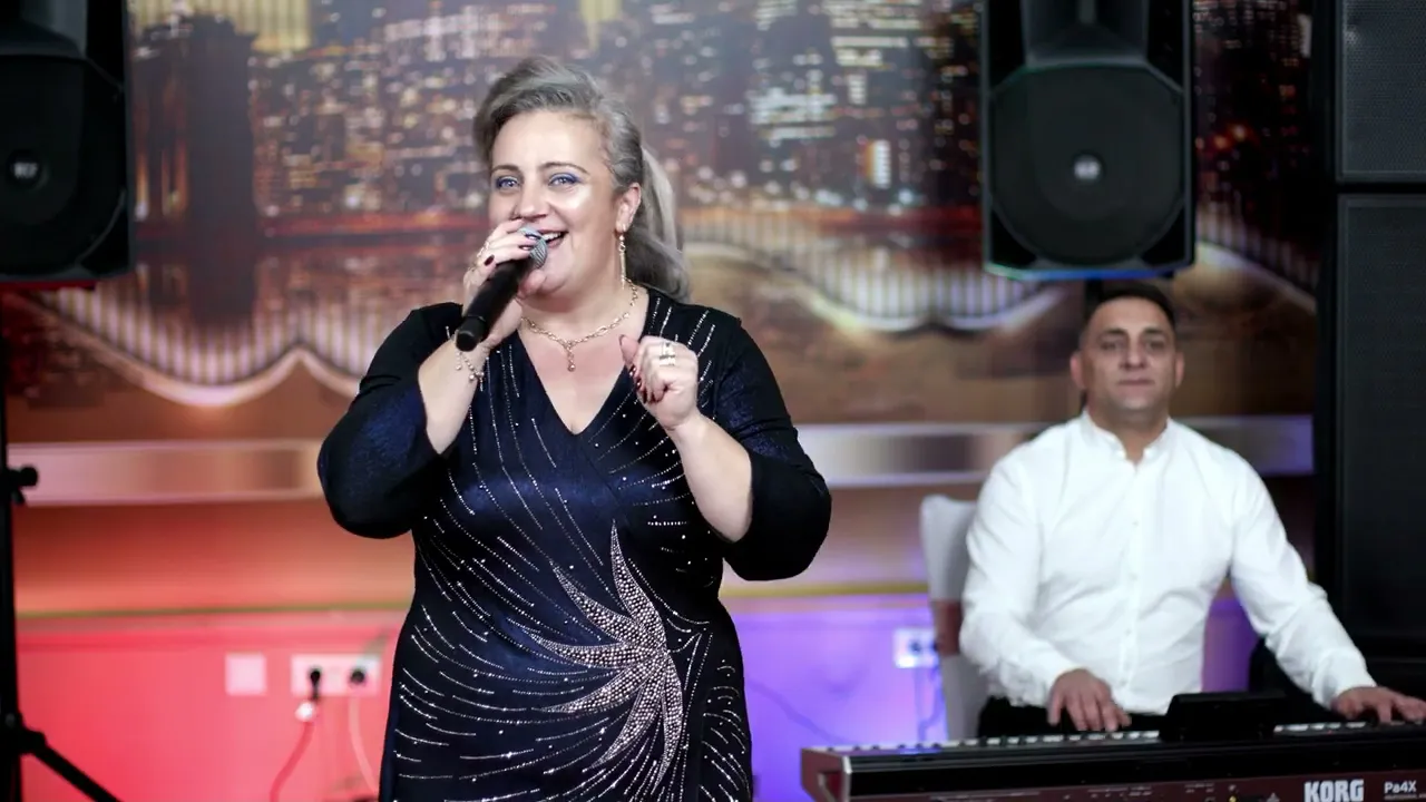 Luminita Iosu Muzica de petrecere Colaj 2023 (cover)