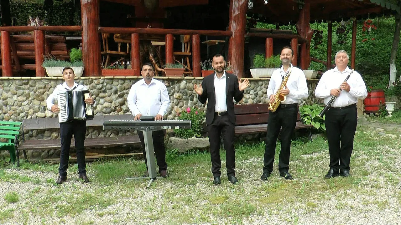 Sorinel Micu - Fata seamana pe tata