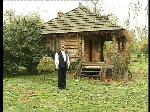 Petrica Mitu Stoian - Uite cum trecura anii