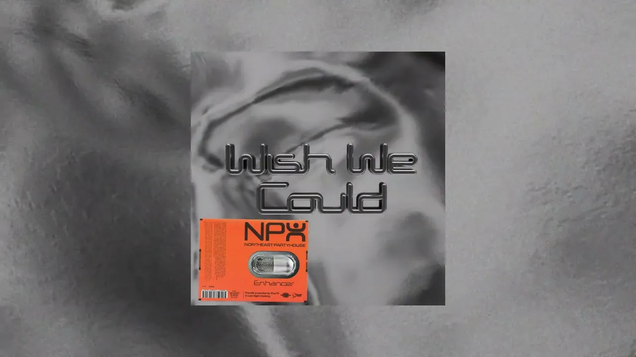 Northeast Party House - Wish We Could