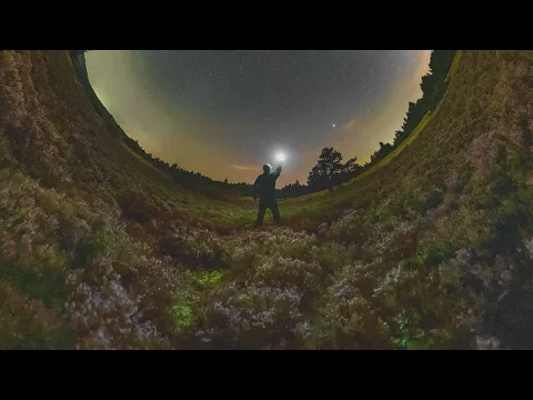 DOC - Totul (Original Radio Edit)