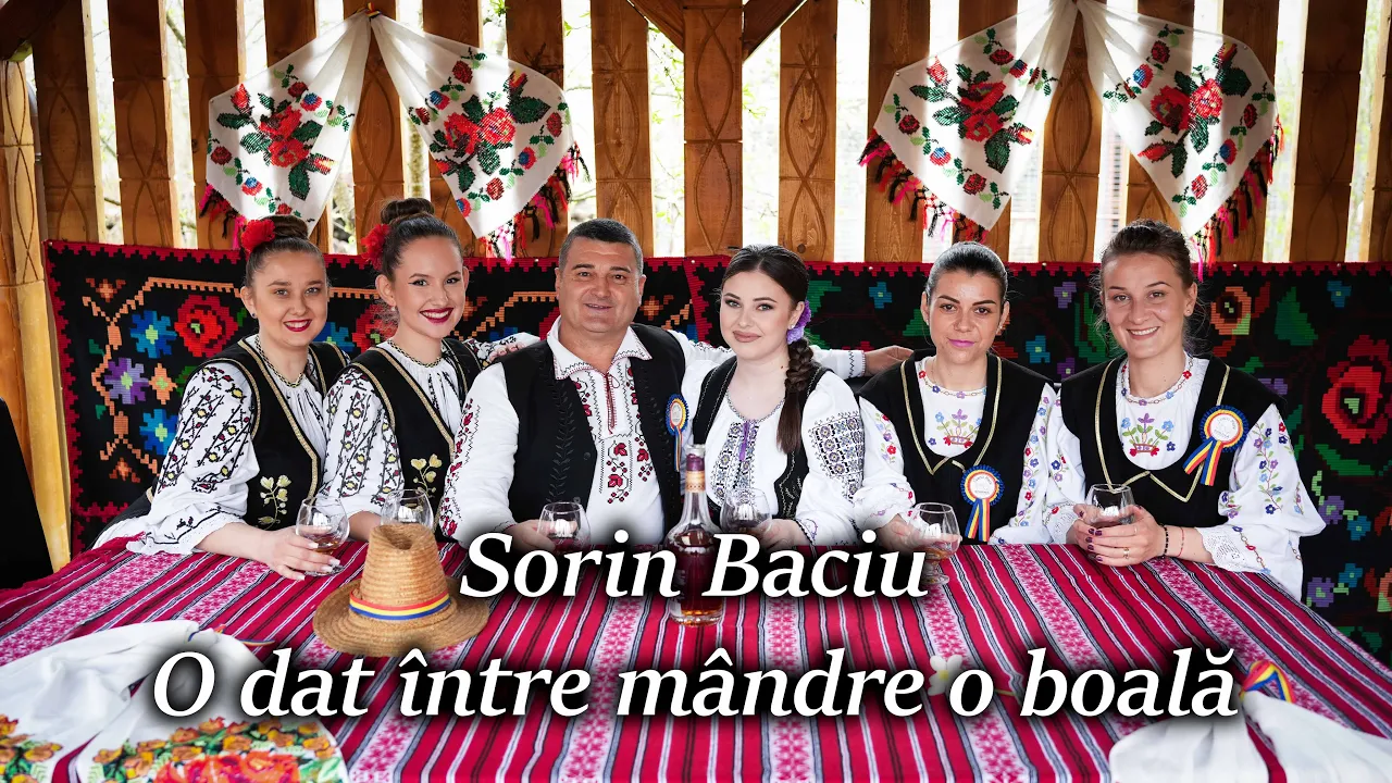 Sorin Baciu - O dat intre mandre o boala