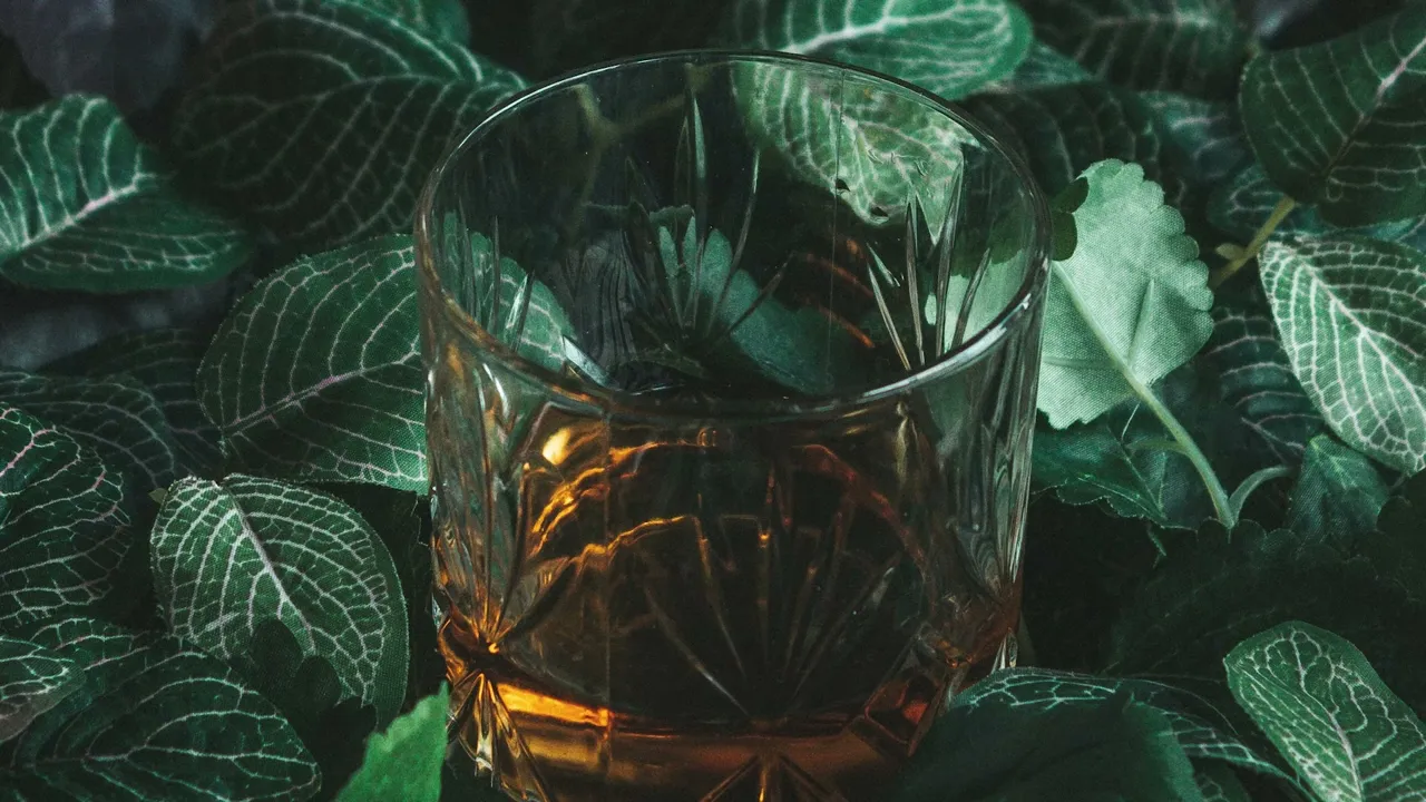 DOC - Teo 2 (Skit)(Original Radio Edit)