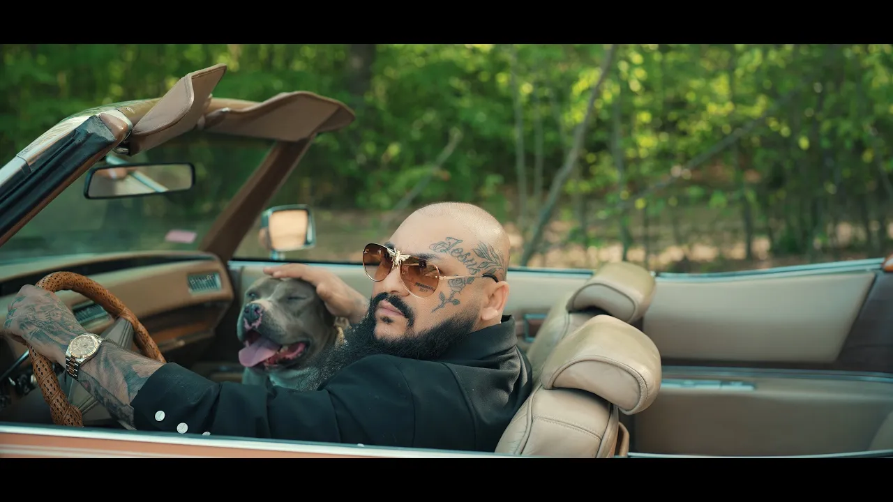 Dani Mocanu - Mars (Video Original)