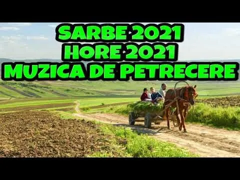 CELE MAI ASCULTATE MELODII DESPRE STRAINATATE 2021 MUZICA DE PETRECERE